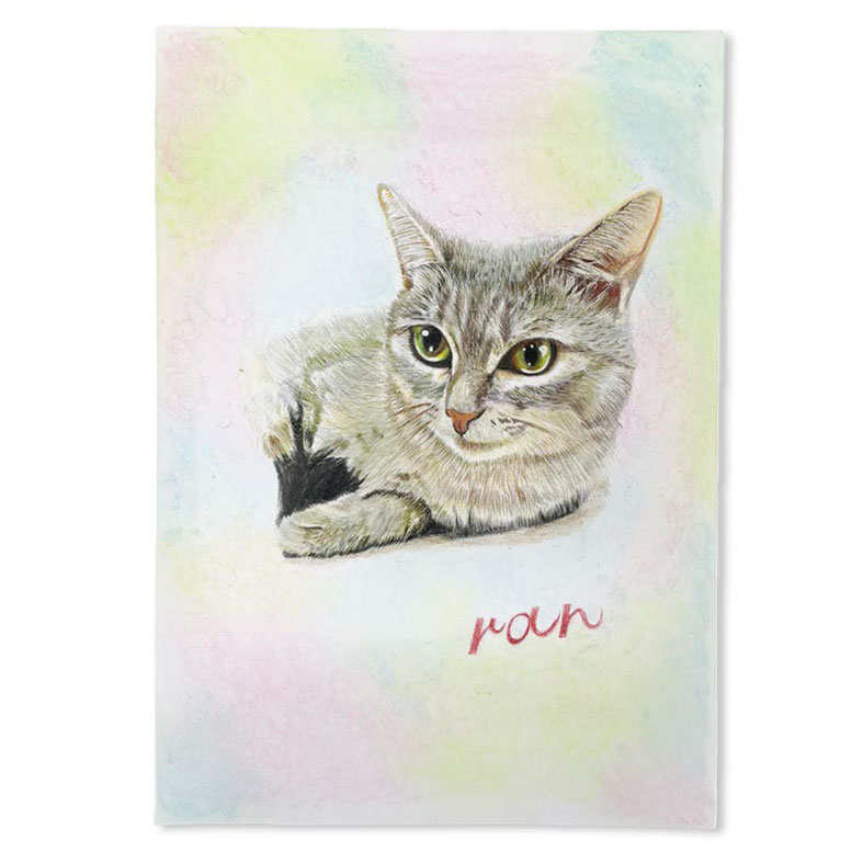 ペットの似顔絵「色鉛筆デッサン」/愛媛県松山市の犬・猫・動物の似顔絵イラストオーダー